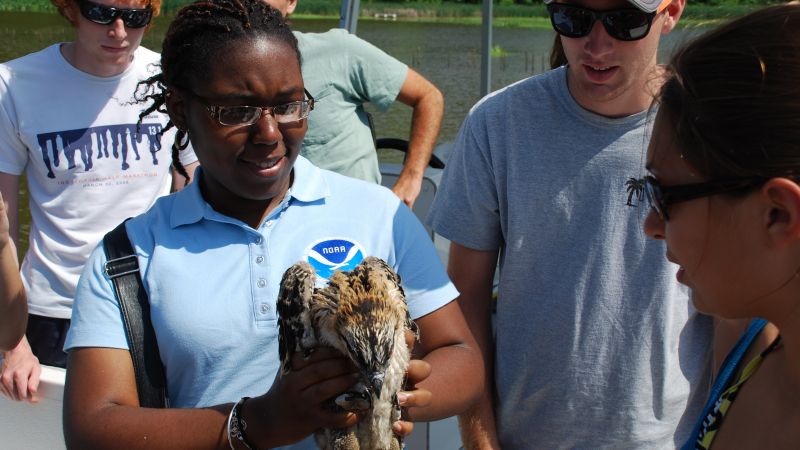 The Educational Partnership Program with Minority Serving Institutions (EPP/MSI) Undergraduate Scholarship Program enables students to conduct two summer internships during their scholarship. Here, a student participated in osprey tagging at Jug Bay Wetlands Sanctuary.