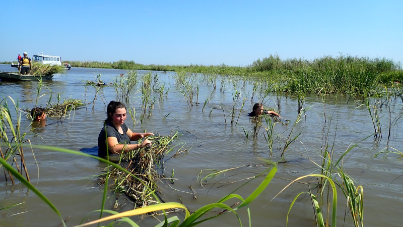 Marsh Maneuvers students learn firsthand about changes to Louisiana's coastline.