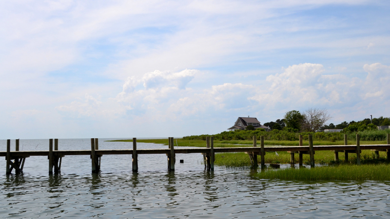 The Chesapeake Bay National Estuarine Research Reserve team is offering online resources to help educators and students learn about and experience the Chesapeake Bay.
