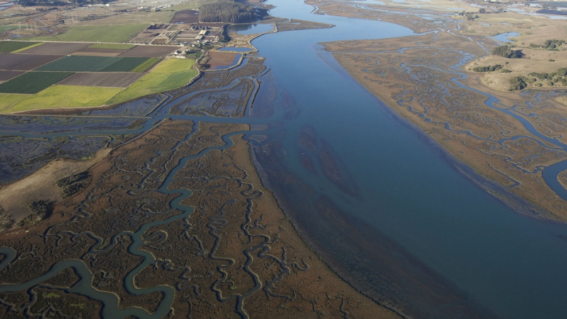 Aerial photo of Elkhorn Slough National Estuarine Research Reserve at Moss Landing, California.