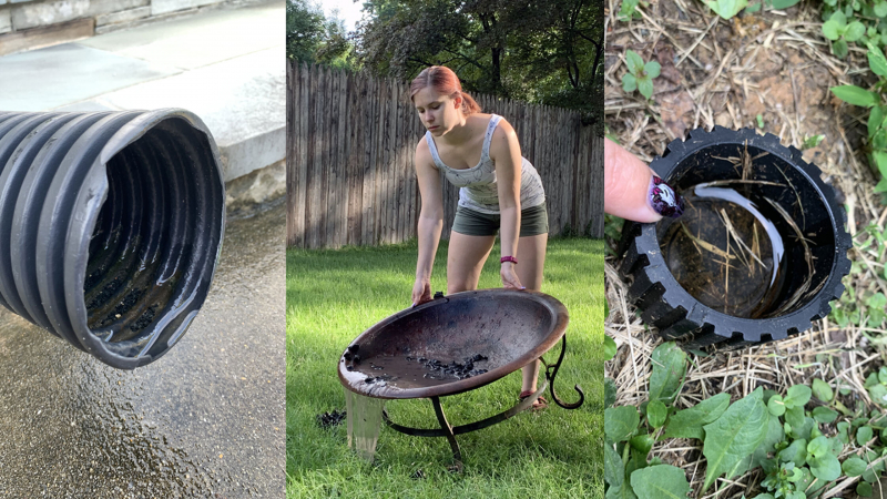 Audrey Maran hunts down and eliminates mosquito habitat around her yard after a summer rain storm in Maryland. She empties gutter drains, a firepit, and a stray cap.
