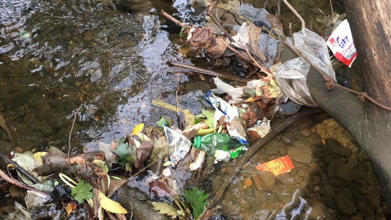 You can find a lot of interesting types of trash tangled in branches or stuck in mud! Most commonly found are plastic bags or food wrappers.
