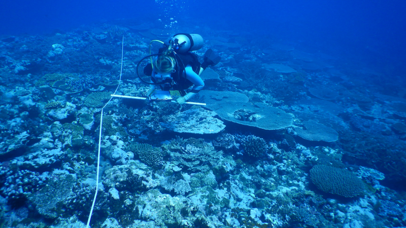 Courtney's internship was split into half coral disease research and half outreach. In this photo, Hollings Scholar Courtney Tierney is in one of the National Marine Sanctuary of American Samoa's management areas, Fagatele Bay, collecting coral disease data.