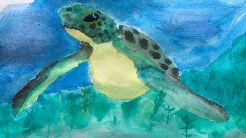 Child’s artwork depicting a watercolor sea turtle swimming in the ocean.