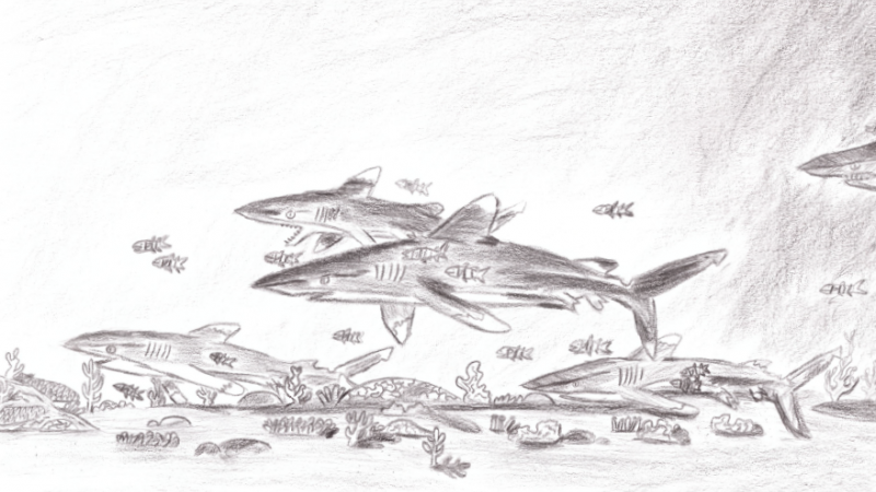 Child’s artwork depicting Oceanic whitetip sharks swimming along a sandy ocean floor. Smaller fish surround the school of sharks.