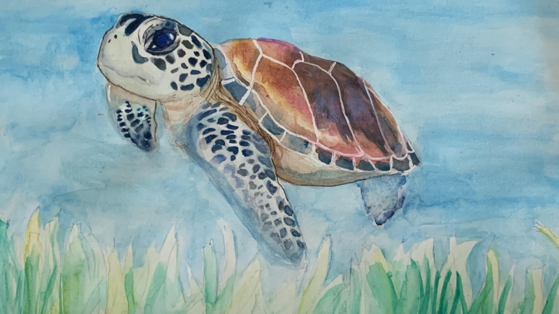 Art gallery: Award-winning student artwork inspired by the ocean ...