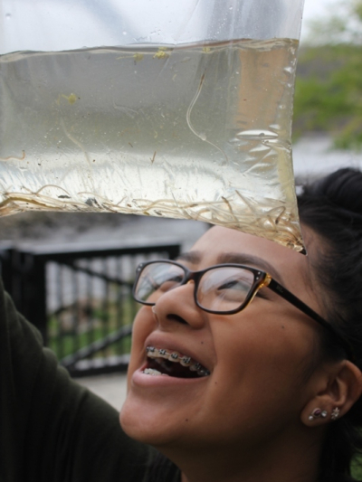 A student holds a bag of clear, small ell-like fish above her head while gazing up to look at the bottom of the clear bag.