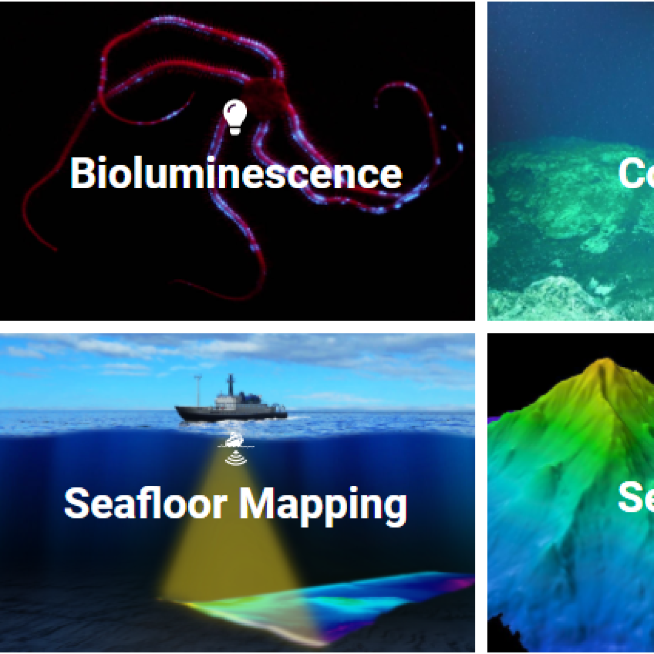 Six squares each with different ocean topic photos. Text: Bioluminescence, cold seeps, deep sea canyons, seafloor mapping, seamounts, underwater cultural heritage.