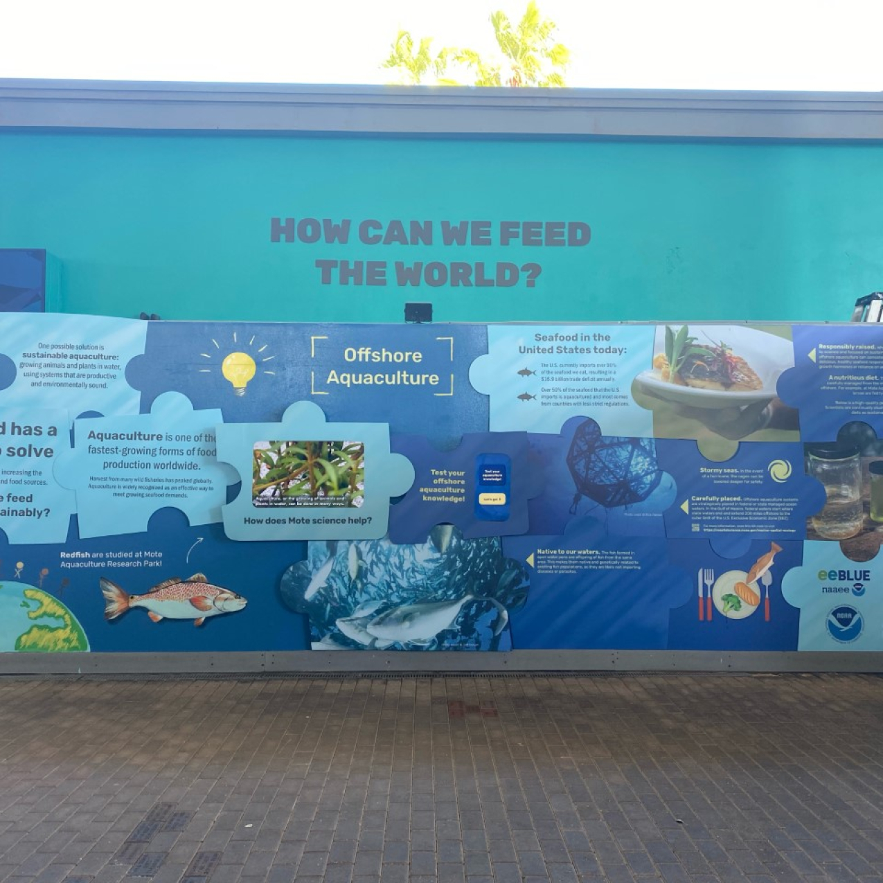 An outdoor exhibit with photos of ocean life and text. Title: How can we feed the world?