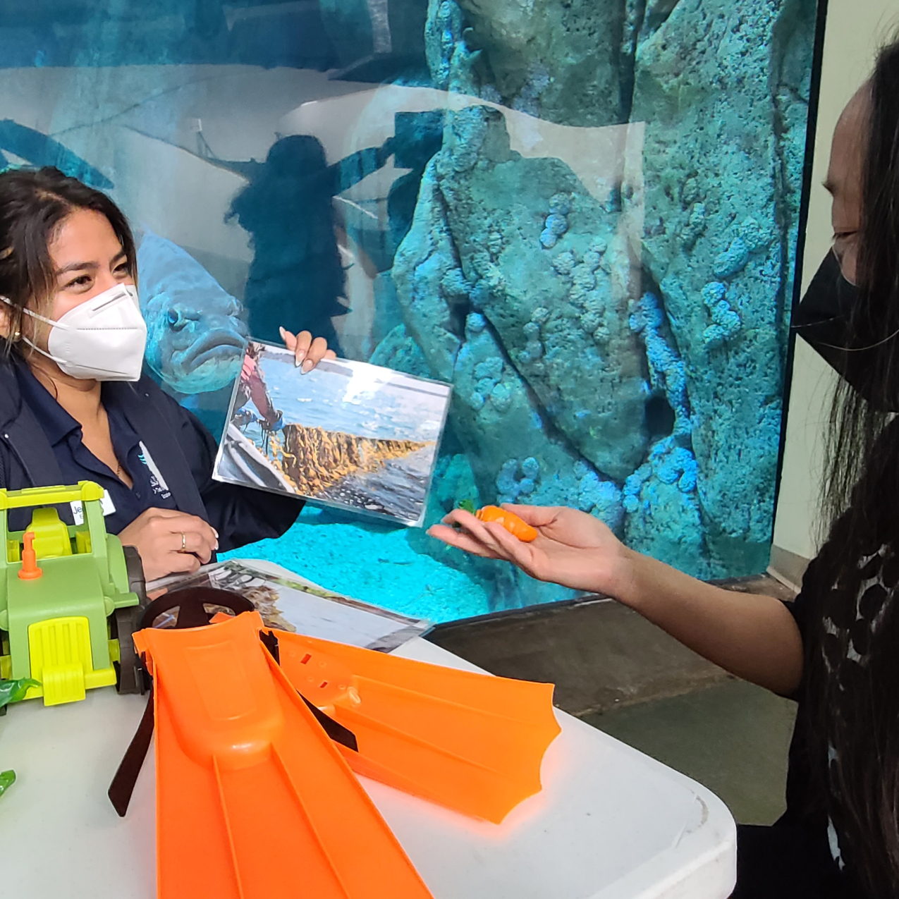 A person stands in front of a table with a plastic toy and scuba fins while conversing with a guest.
