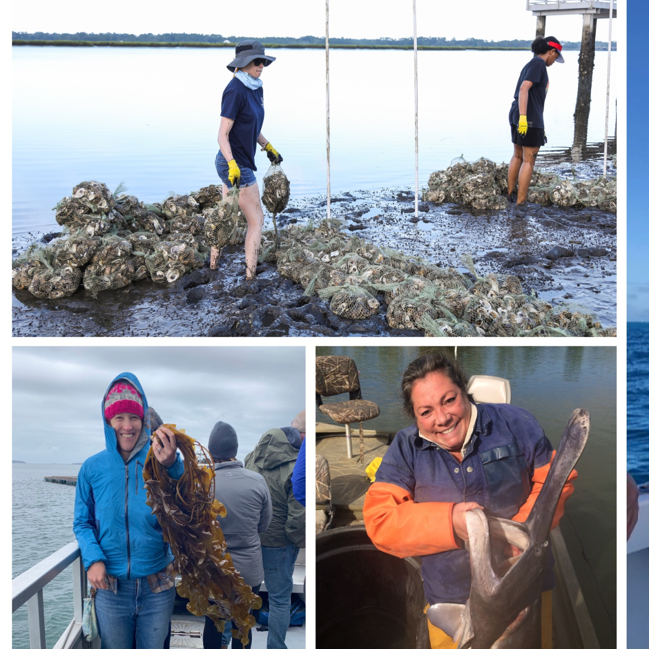 A grid of photos of seafood experts. Erin Arneson (top left); Maggie Allen (bottom left); Angela Caporelli (bottom middle); Kellie Casavalle (right).