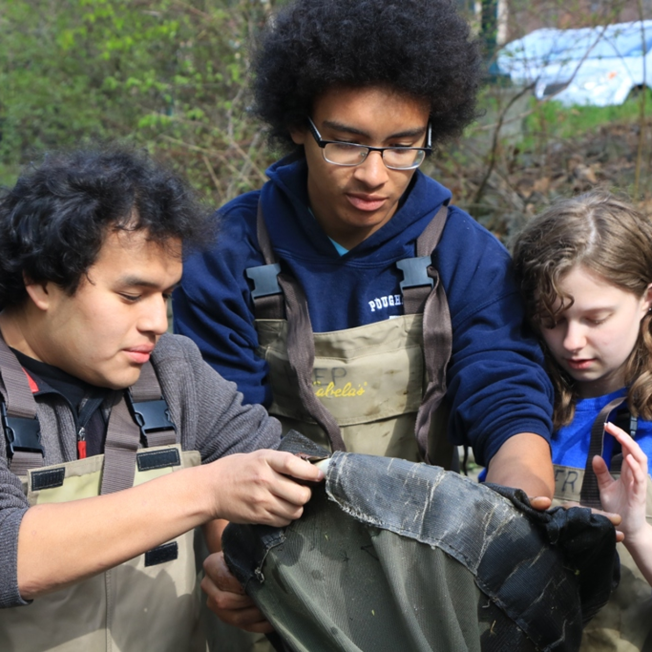 Marist College and Poughkeepsie High School students check a net for migrating juvenile American eels on the Fall Kill Creek on New York's Hudson River estuary.