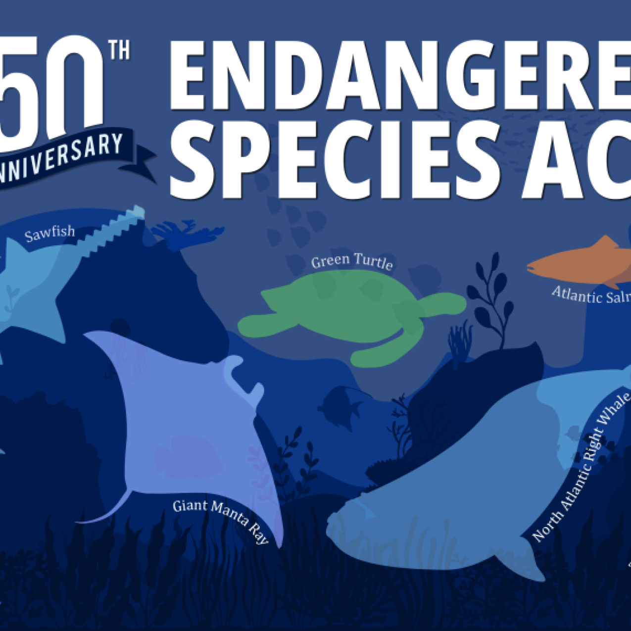 Illustration showing varying fish species celebrating 50 years of the Endangered Species Act.