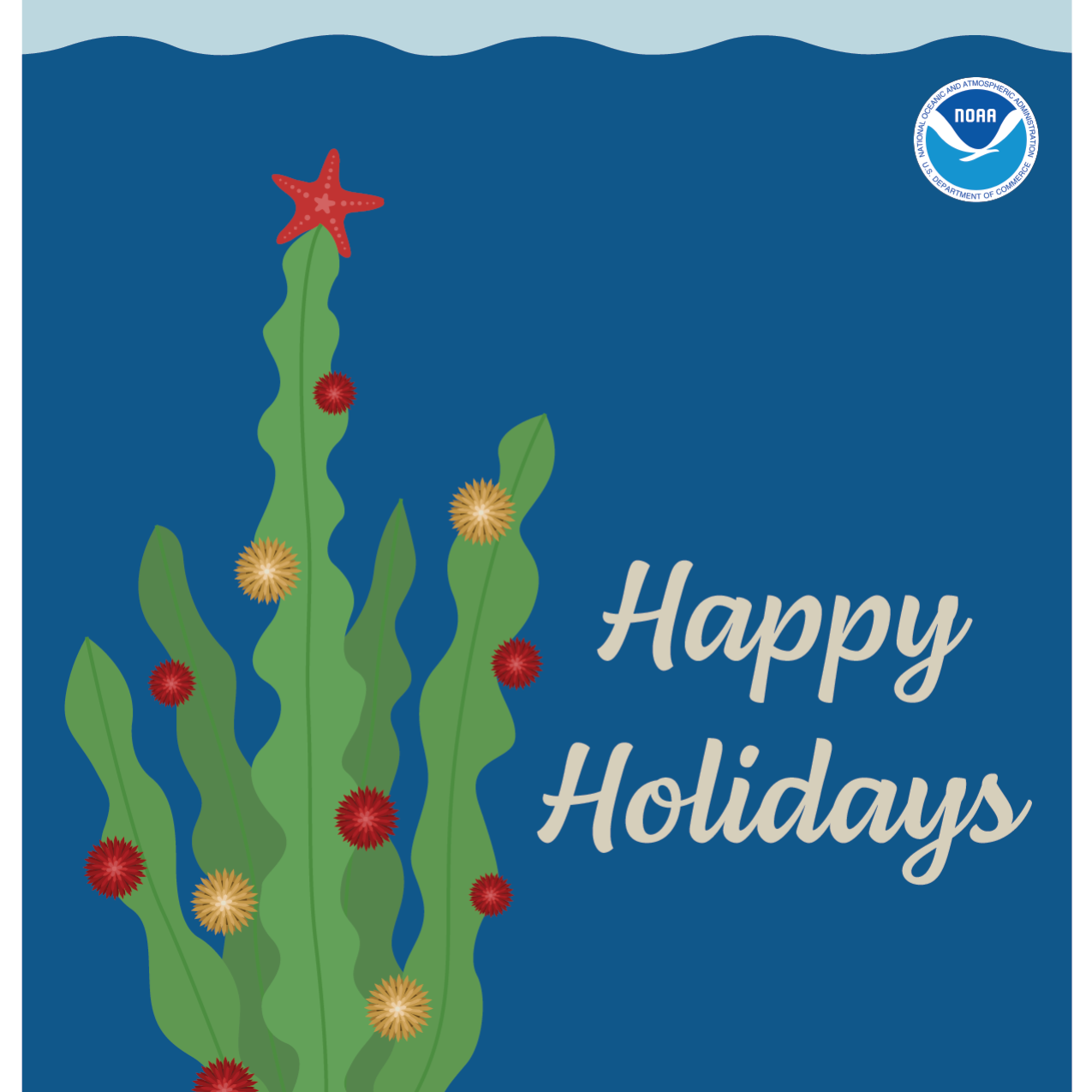 An illustrated holiday card featuring a decorated kelp tree with a sea star at the top. There are presents in the sand under the kelp tree, a NOAA logo, and writing that reads “Happy holidays from the NOAA Office of Education.” At the bottom a link reads noaa.gov/education.