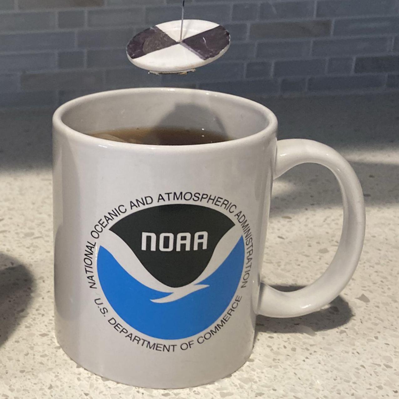 Learn about density by making a fancy layered hot cocoa or find out the "secc-tea" depth of your perfect up of tea with our oceanography in a mug activities. 
A mug with the NOAA logo on it and a miniature secchi disk is suspended above it. (The secchi disk is made of a white disk with black on opposite quarters. It is hanging from a string that has markings every centimeter.)