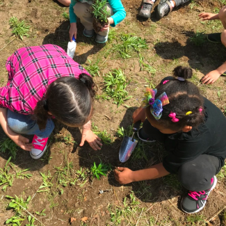 Two students are on the ground, one holding a shovel and the other patting down the soil. You can see two students planting in back of them.