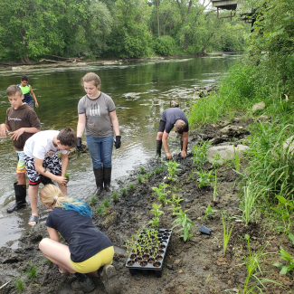 A group of students plant plants along the side of a river.