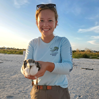 On an undisturbed sandy beach, Kaitlyn smiles, holding out a pigeon-sized bird, with a long beak that is wide at the base and quickly narrows to a point. Both of her hands appear gently, but firmly wrapped around the bird, holding it's wings against its body. Her shirt identifies her as a volunteer with Rookery Bay Research Reserve.