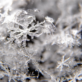 A zoomed in close-up of a cluster of snow crystals. The crystals are each unique and look perfectly formed except where smaller fragments have loosely connected the flakes together.