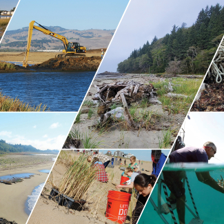 A photo collage of just some of the projects being recommended for funding under the Bipartisan Infrastructure Law and NOAA's Climate-Ready Coasts initiative.