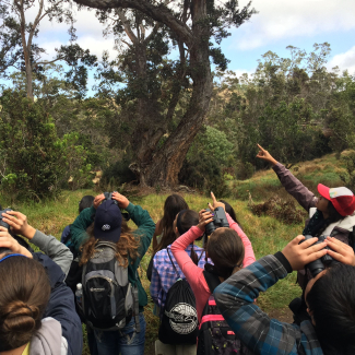 Students hold binoculars and look up in the trees for birds.