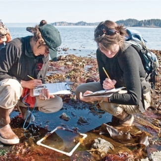 NOAA Sea Grant fosters regional approaches to studying coastal ecosystems.