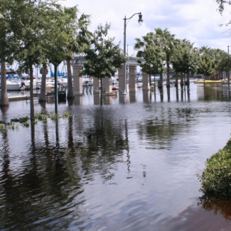 Flooded coasts, such as this one in Florida, are becoming increasingly common.