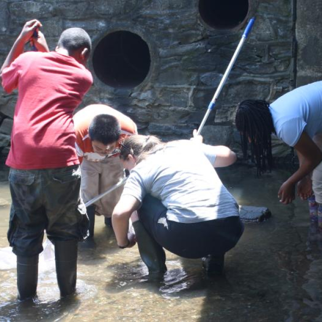 Students kneel and look into a stream while collecting water samples.