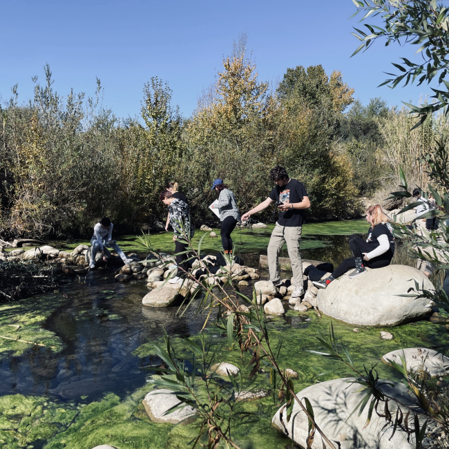 Six teens stand or sit on rocks that cross a stream. Two are holding sampling probes and another holds a clipboard. There is thick, shrubby vegetation on either side of the stream, and there are large mats of algae in the water. 