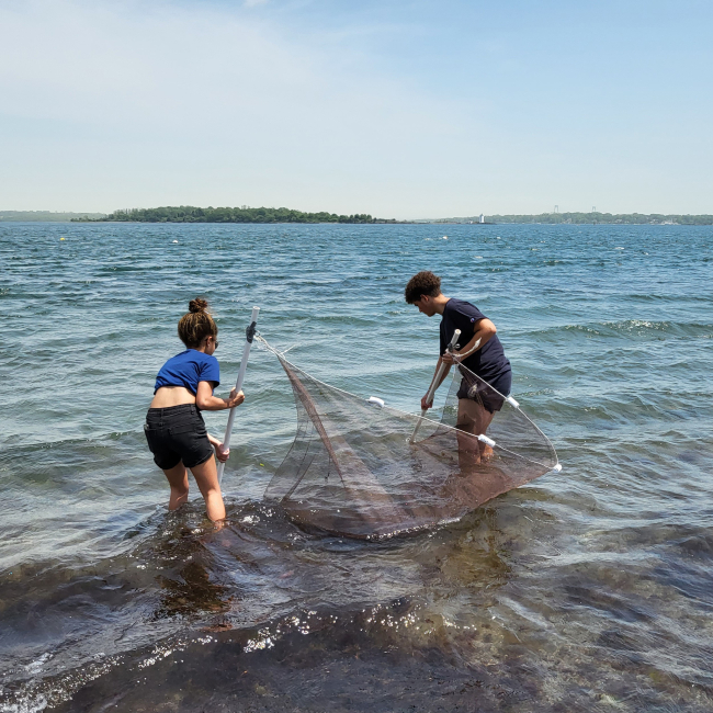 Two students, one female and one male, deploy a sampling net at the beach in hopes of collecting crabs.
