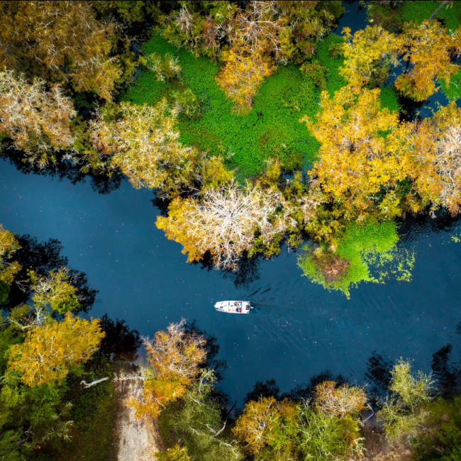 View from above of a dark, winding river, with lush greenery on either side. This is a boat in the middle of the frame.