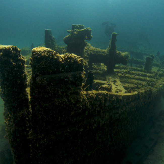 Within Thunder Bay National Marine Sanctuary lie the remains of nearly 100 shipwrecks that represent a microcosm of maritime commerce and travel on the Great Lakes. The D.M. Wilson, a wooden bulk freighter, sank in 1894 after springing a leak. Most of the Wilson's hull remains intact today in the sanctuary, including a large windlass that rests on the bow. 