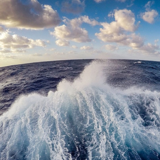 A fish-eye view of the wake of a ship out at sea. Here's an ocean fact: The surface layer of the ocean is teeming with photosynthetic plankton. Though they're invisible to the naked eye, they produce more oxygen than the largest redwood trees.