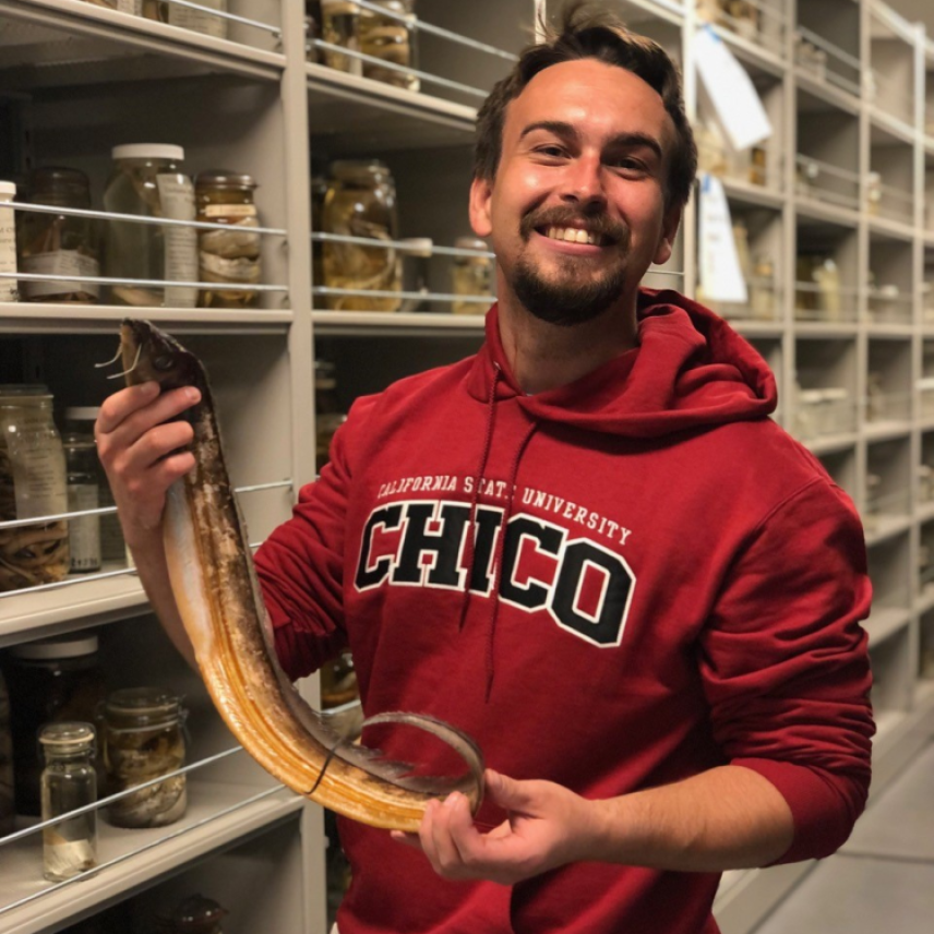 Cole grins, holding up a long, skinny preserved fish shaped like a cutlass. He wears a Chico state hoodie and stands against a background with tall shelves holding jars of preserved fishes.