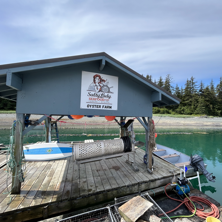 A large dock with a permanent wooden open-air shelter marked with a sign that reads "Salty Lady Seafood Co Oyster Farm." The shelter houses equipment for boating and oyster farming.