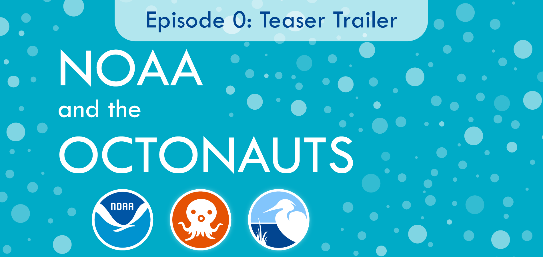 Bubbles emerge from the words “NOAA and the Octonauts.” Below the words are three logos: a blue circle with a gull-like bird in the center for NOAA, a white octopus in an orange circle for the Octonauts, and a heron silhouette against a blue background for the Coastal Ecosystem Learning Center Network.