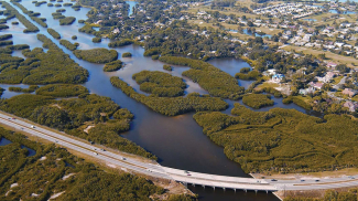Natural "green barriers" help protect this Florida coastline and infrastructure from severe storms and floods.  