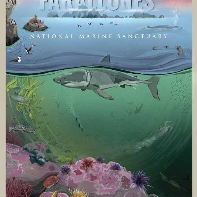 Greater Farallones National Marine Sanctuary 50th anniversary commemorative poster.